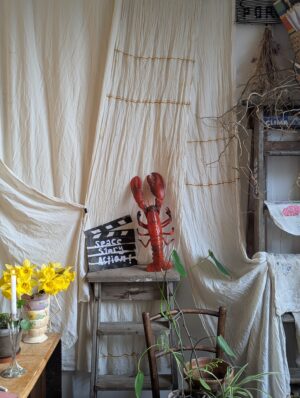 'Space, Story, Action!' - a 30 day online home styling course - Starts May 1st